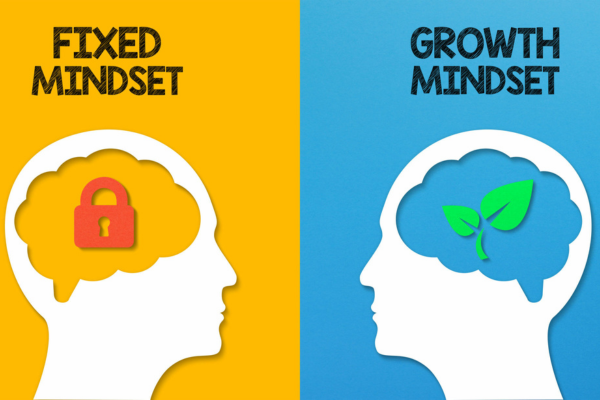 The Growth Mindset Revolution: Nurturing Your Personal and Professional Potential