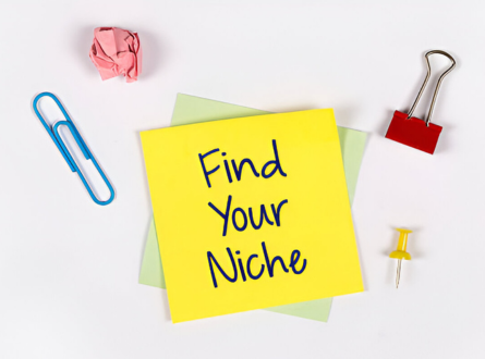 Finding Your Niche: Instructional Video Class 2